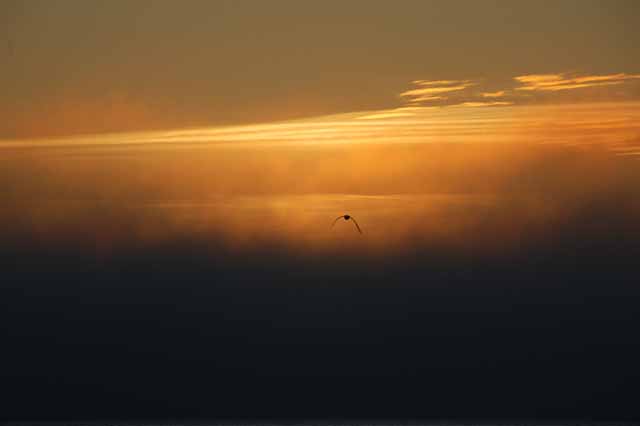 sunset over the Strait of Juan de Fuca